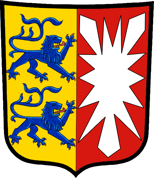 Ortung von Bürgern durch nicht-individualisierte Funkzellenabfragen in Schleswig-Holstein