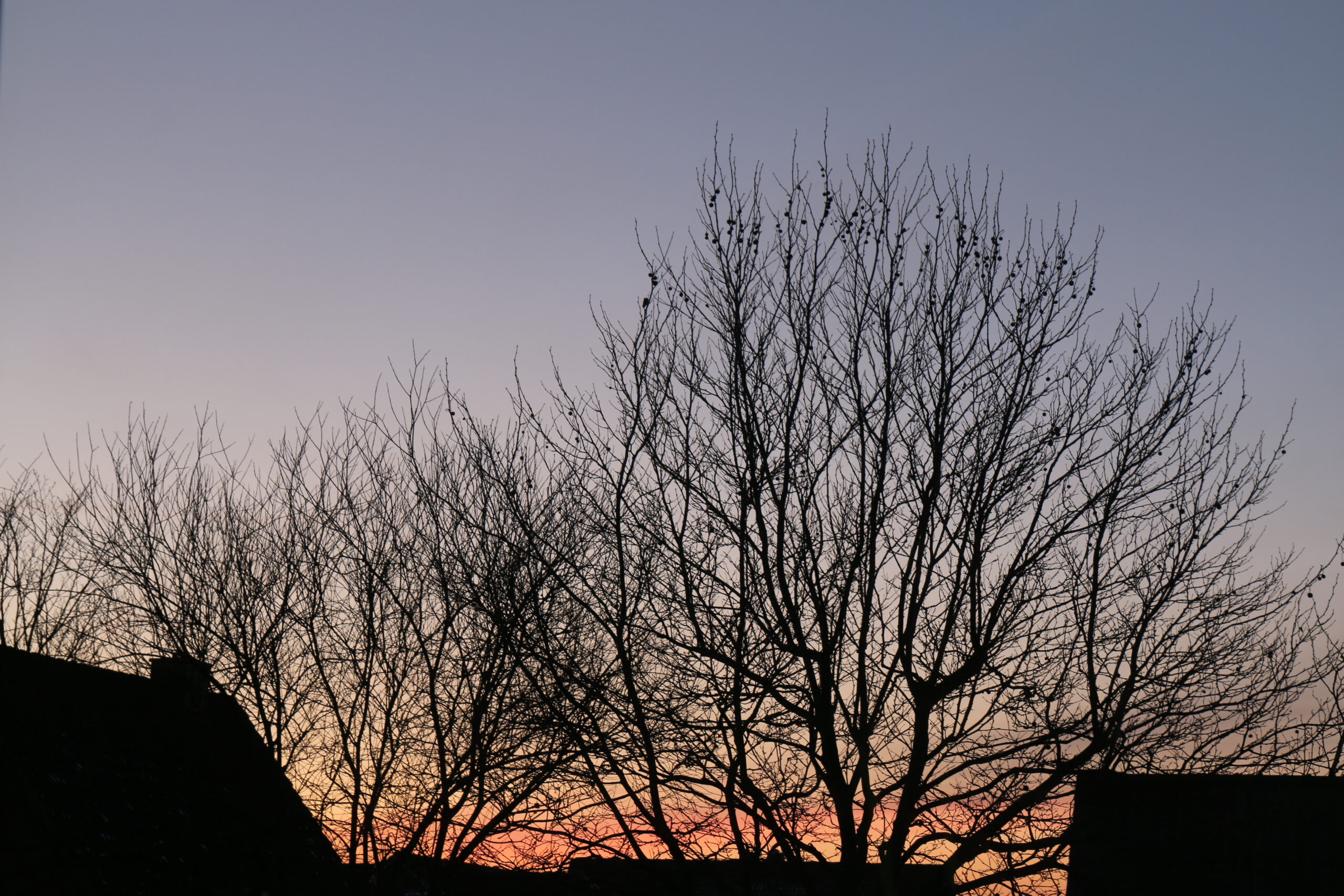 Winterhimmel in Stockelsdorf