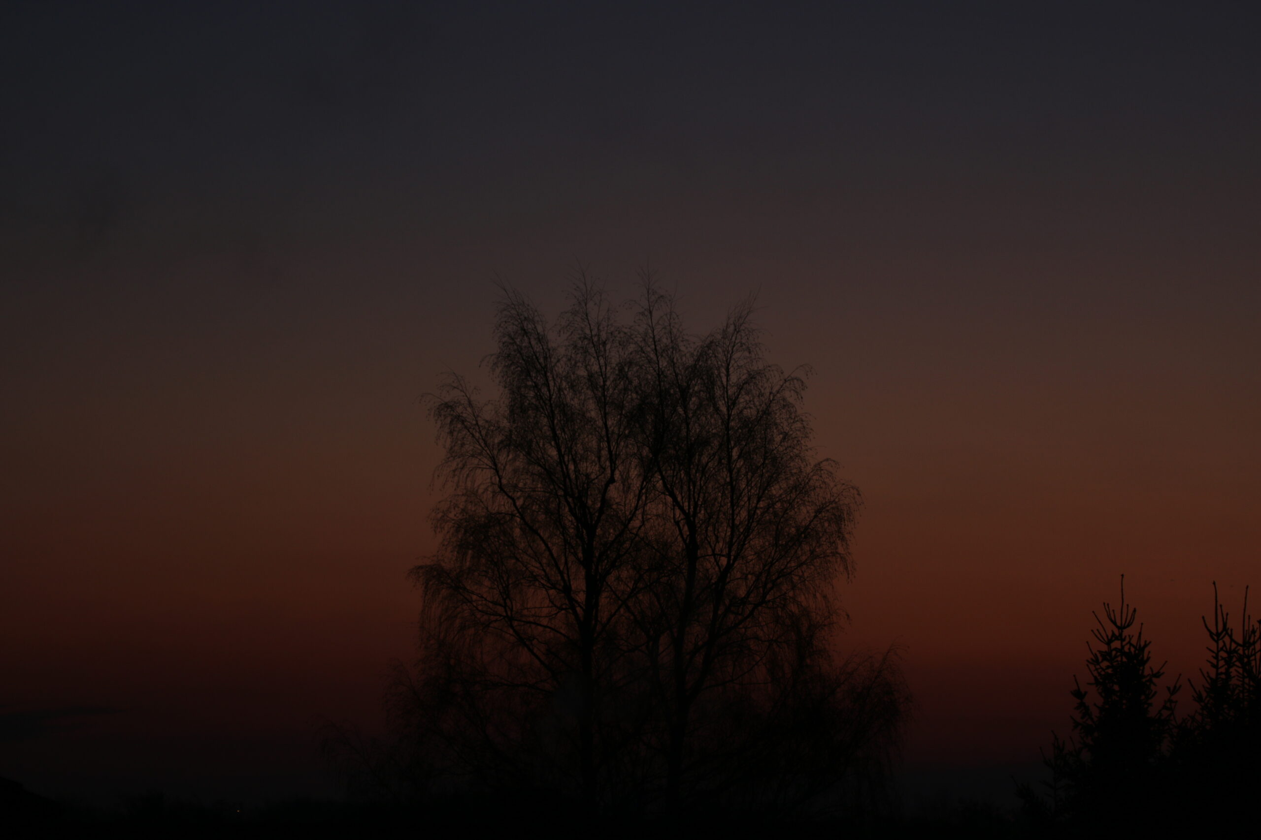 Good morning Schleswig-Holstein